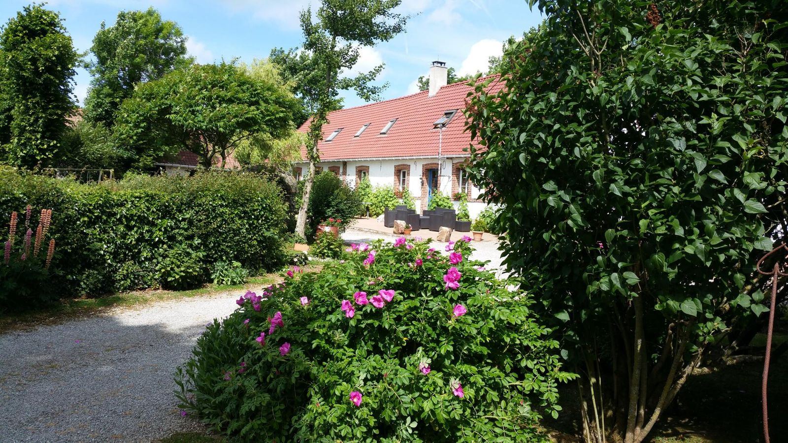 Les gîtes au milieu des rosiers en fleurs
